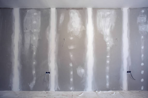 Best Drywall Crack Repair  in Fridley, MN